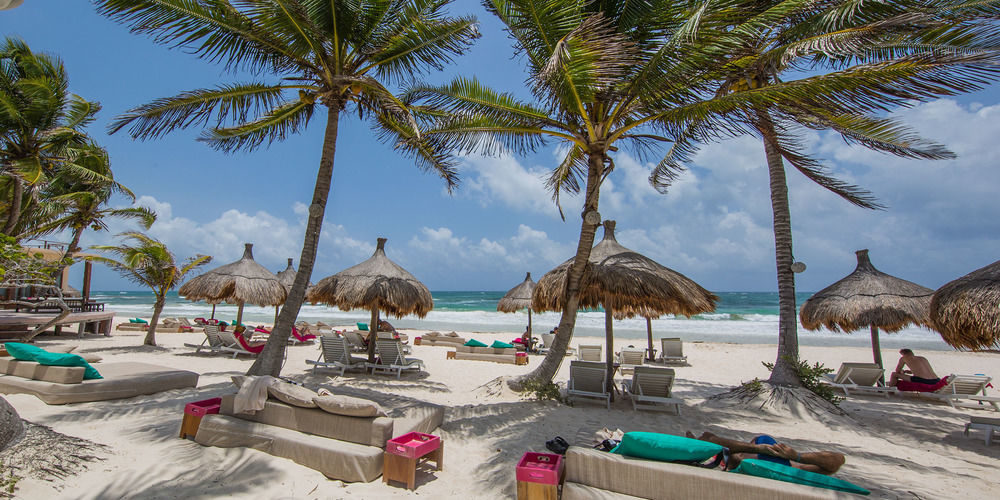 La Zebra Tulum, A Small Luxury Hotel المظهر الخارجي الصورة