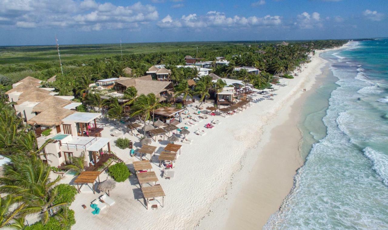 La Zebra Tulum, A Small Luxury Hotel المظهر الخارجي الصورة